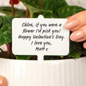 Personalised Message Valentine's Plant Marker
