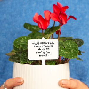 Personalised Message Mother's Day Plant Marker