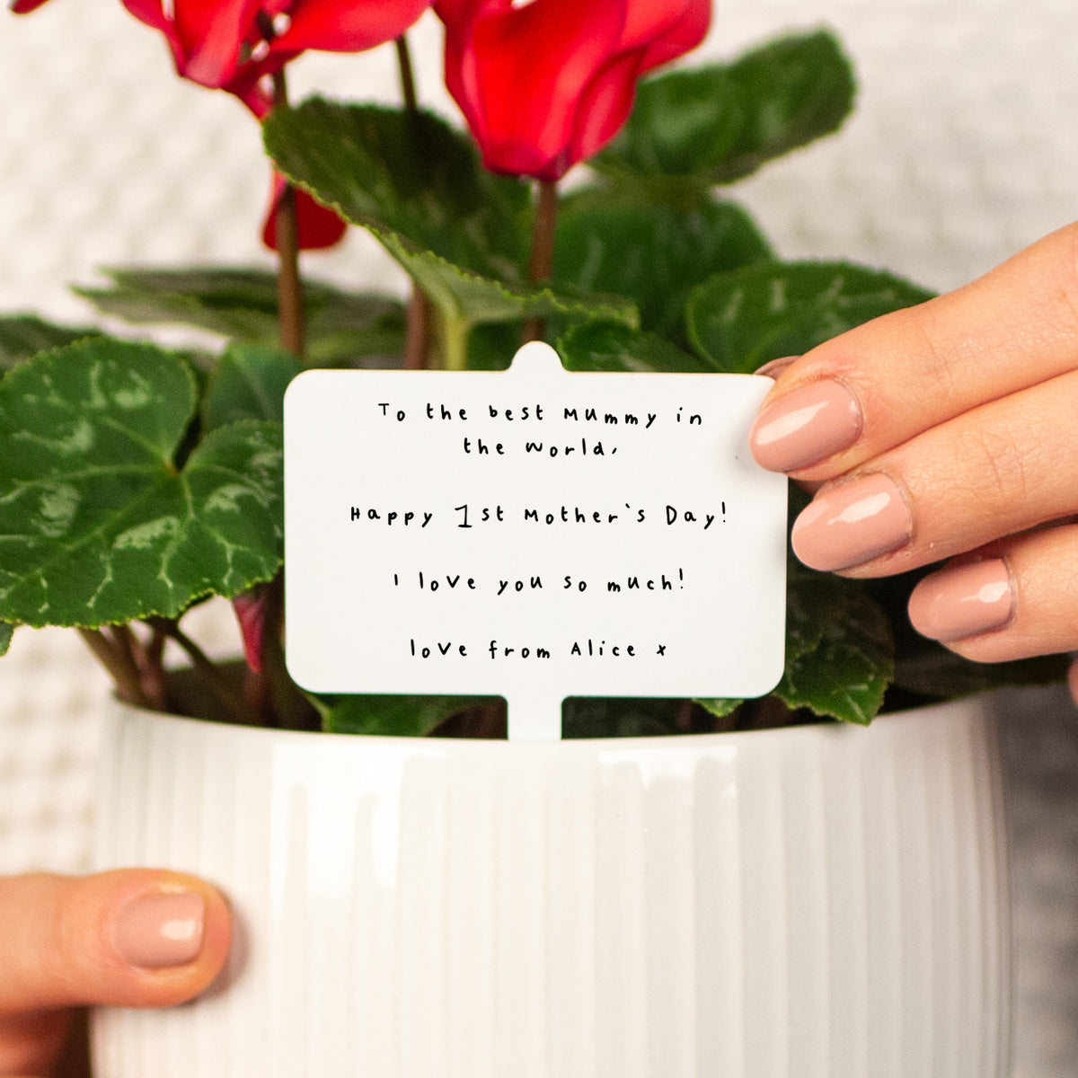 Personalised Mother's Day Handwritten Plant Marker