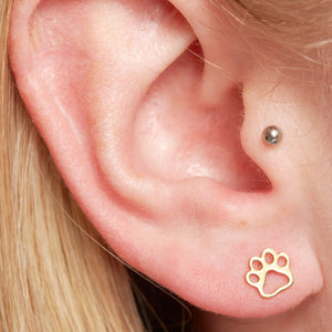 Gold Plated Sterlng Silver Paw Stud Earrings