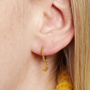 Gold Plated Star & Moon Hoop Earrings