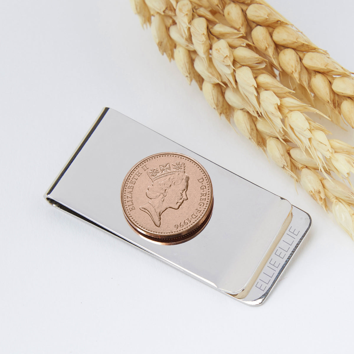 30th Birthday 1996 Penny Coin Money Clip