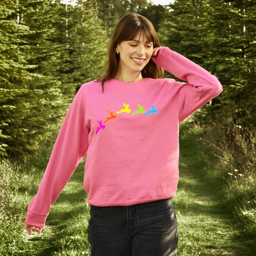 Neon Rainbow Reindeers Christmas Sweatshirt Jumper