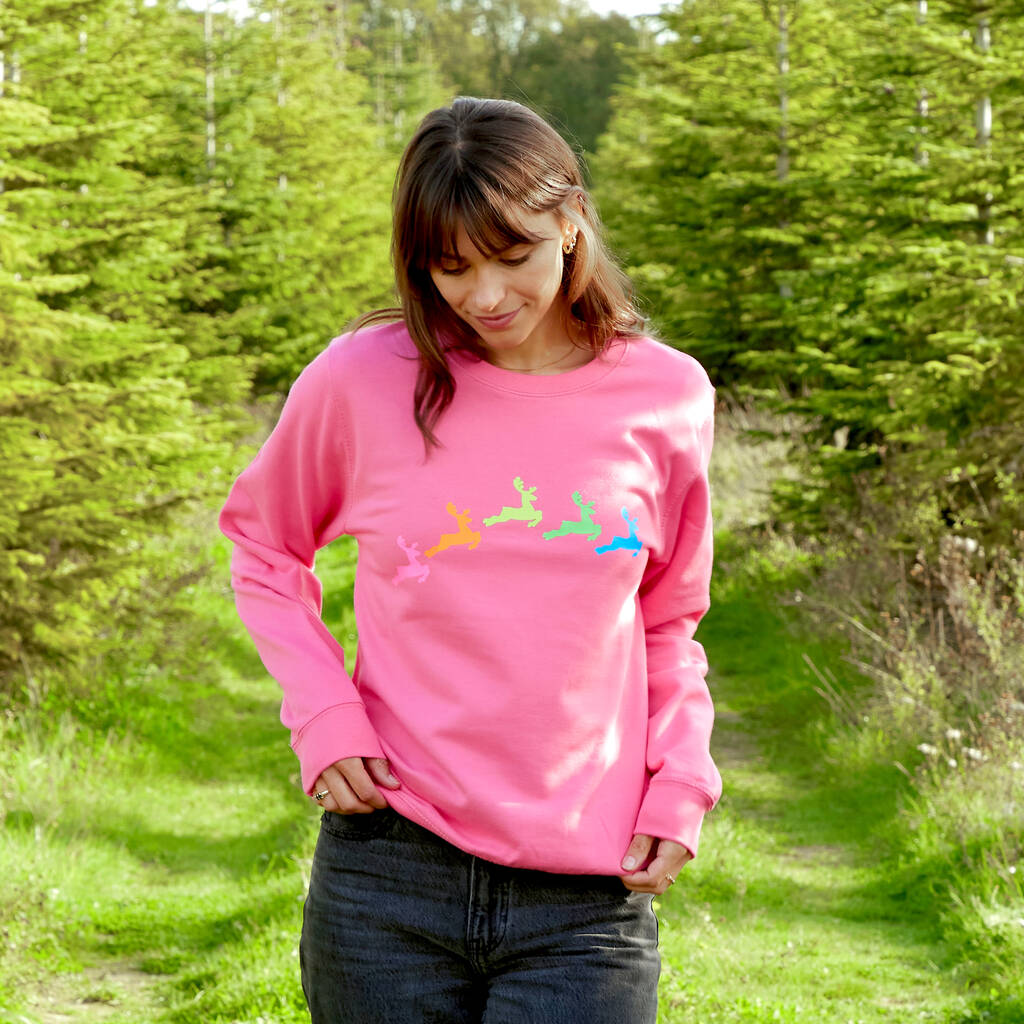 Neon Rainbow Reindeers Christmas Sweatshirt Jumper