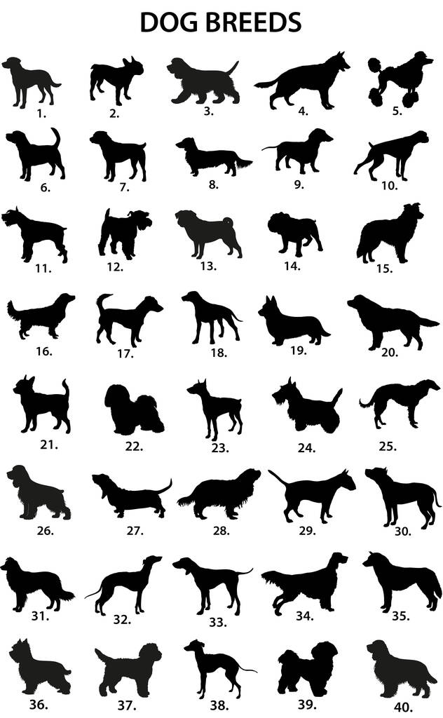 Personalised Pet Name And Shape Christmas Decoration