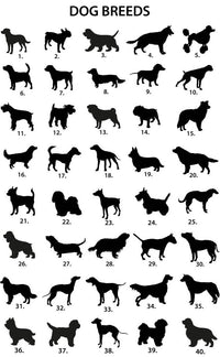 Personalised Pet Name And Shape Christmas Decoration