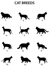 Personalised Pet Name And Shape Christmas Decoration