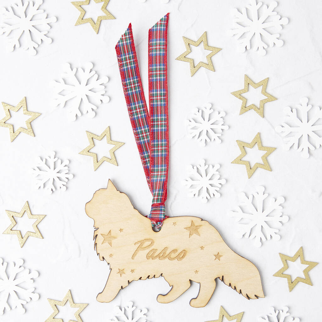 Personalised Pet Name And Shape Christmas Decoration