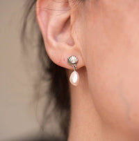 Silver Shell And Pearl Drop Studs