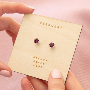 February Birthstone - Amethyst Sterling Silver Earrings Characteristic Card