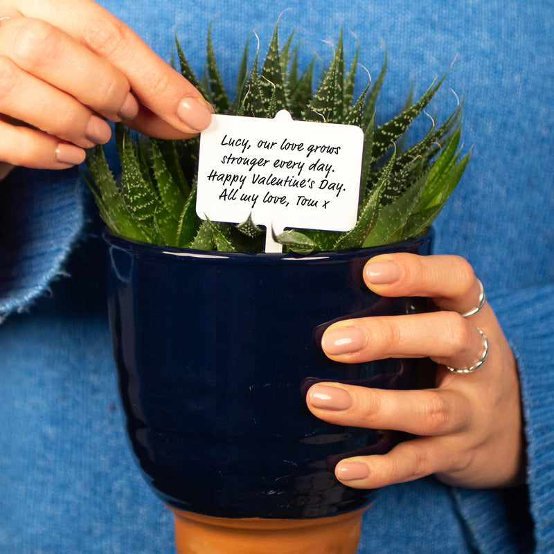 Personalised Message Valentine's Plant Marker