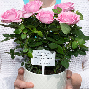 Thank You Teacher Personalised Plant Marker