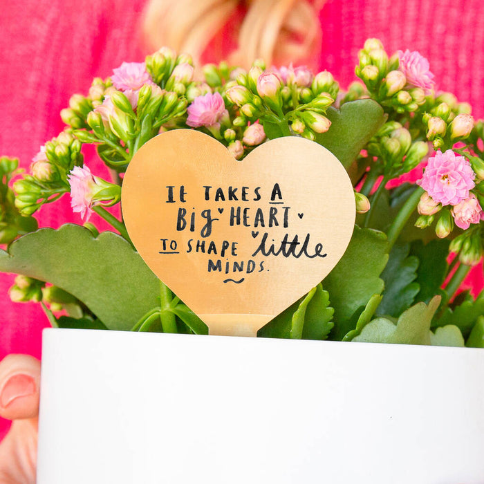 It Takes A Big Heart' Teacher Plant Marker