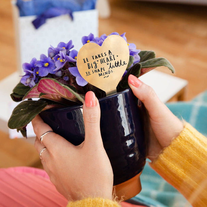 It Takes A Big Heart' Teacher Plant Marker