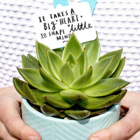 It Takes A Big Heart To Shape Little Minds Plant Marker