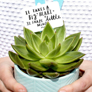 It Takes A Big Heart To Shape Little Minds Plant Marker