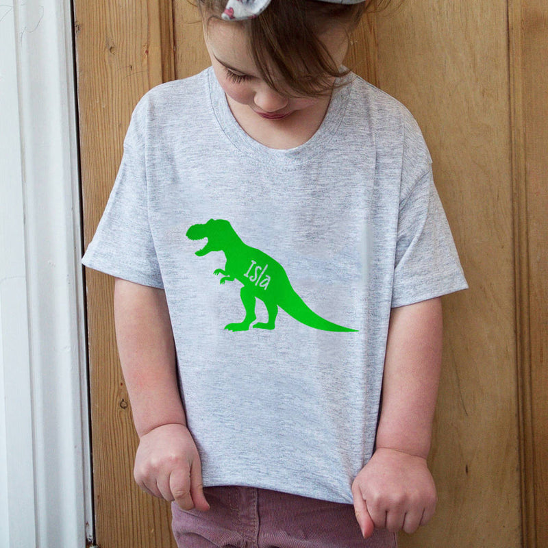 Personalised Kids Children's Dinosaur T-Shirt
